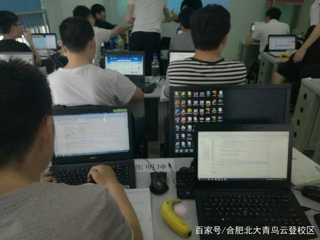 汽車維修與計算機(jī)軟件開發(fā) 職業(yè)前景的深度對比分析